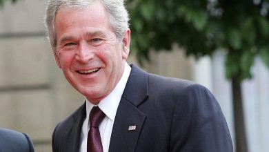 Bush